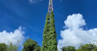 EDF et la Maison de l’Avocat souhaitent un Joyeux Noël à la Martinique
