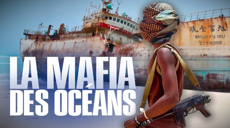 ENQUÊTE : La MAFIA des océans, empire criminel des mers