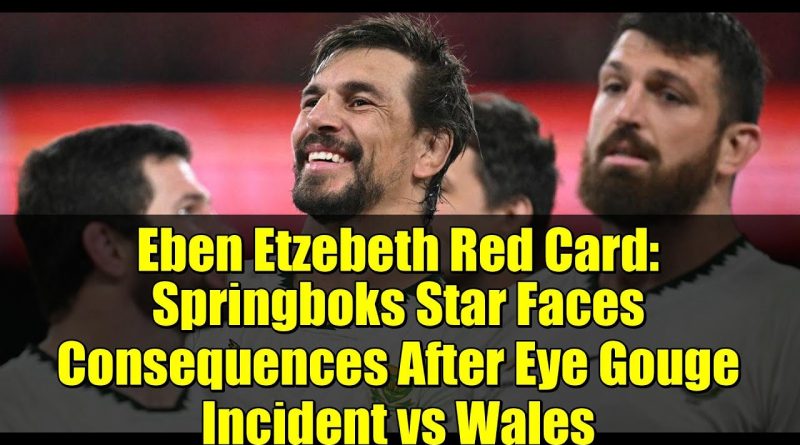 Eben Etzebeth : Carton rouge et conséquences après l'incident