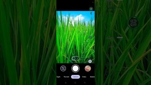 Éblouissante photo de rizière capturée avec un smartphone