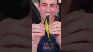 Échec 😰 Concombre lyophilisé : Que faire maintenant ? 🥒