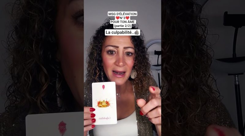 Élévation Spirituelle ❤️ N°3 : Guidance et Tarot