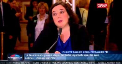 Emmanuelle Cosse (EELV) : Le Sénat représente-t-il les Français ?