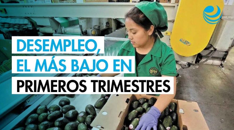 Emploi : la création la plus faible en dix ans en 2023