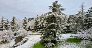En images. En décembre, vos plus belles photos du jour