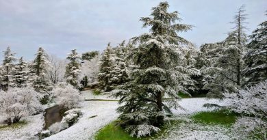 En images. En décembre, vos plus belles photos du jour