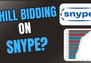 Enchères trompeuses sur Snype : le phénomène du shill bidding