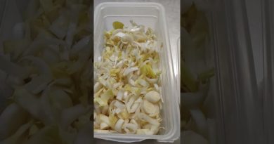 Endives en salade : une idée fraîche pour le dîner