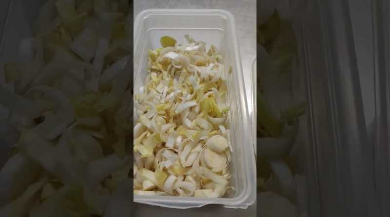 Endives en salade : une idée fraîche pour le dîner