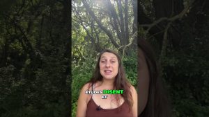 Endométriose : Guide PDF Gratuit pour Soulagement Naturel