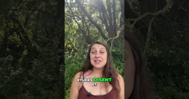 Endométriose : Guide PDF Gratuit pour Soulagement Naturel