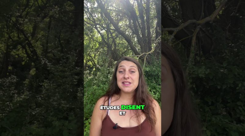 Endométriose : Guide PDF Gratuit pour Soulagement Naturel