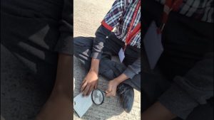 Énergie solaire et éolienne : Activités éducatives en classe