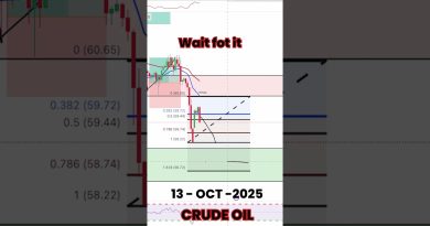 Entrée du pétrole brut : un mouvement spectaculaire !