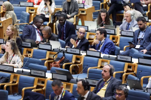 Environnement : des pays, dont les États-Unis, bloquent la publication d'un rapport clé de l'ONU