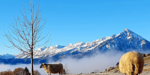 La Suisse romande bascule dans l’hiver cette fin de semaine