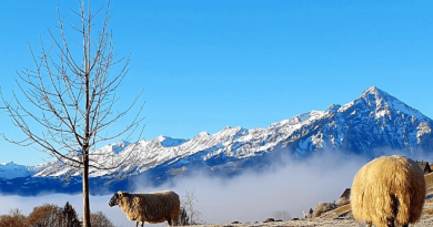 La Suisse romande bascule dans l’hiver cette fin de semaine