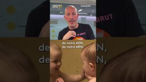 État des lieux des tests de détection de l'endométriose