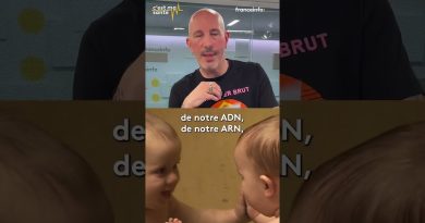 État des lieux des tests de détection de l'endométriose