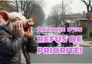 Étude sur les raisons d'un refus de priorité