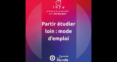 Étudier à l'étranger : guide pratique essentiel