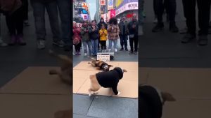 Événements marquants du 23 novembre 2025