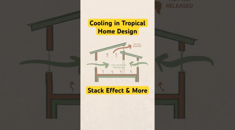 Évitez ces erreurs de design tropical et économisez !