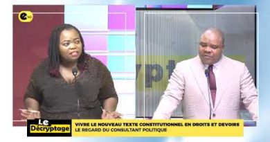 Explorer le Nouveau Texte Constitutionnel : Analyse d'un Consultant