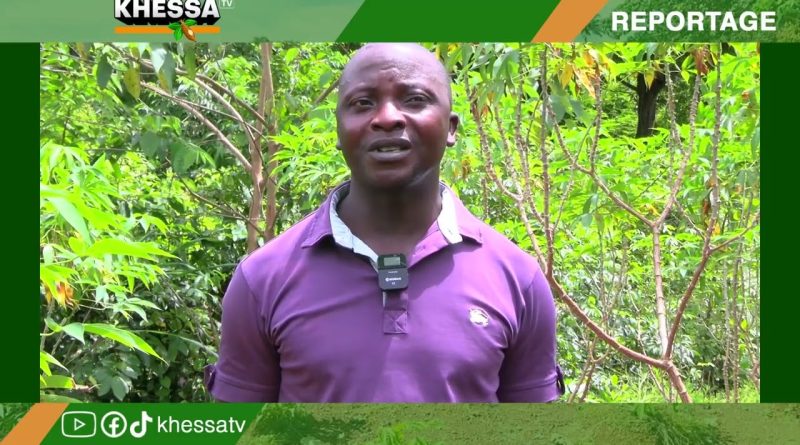 FOTOBIA S'ENGAGE POUR LA SÉCURITÉ ALIMENTAIRE, AGROCLUB RAVIE