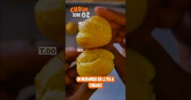 Farine T00 vs T55 : La clé des choux parfaits !