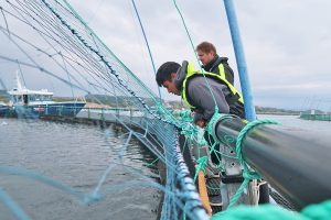 Des étudiants du MIT Sea Grant explorent la technologie et l'aquaculture en mer en Norvège.