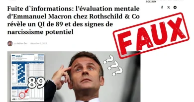 Faux site prétendant mesurer le QI d’Emmanuel Macron : qui est derrière et pourquoi ?