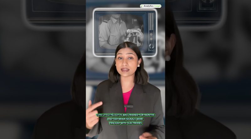 Félicette : La Première Chatte dans l'Espace !