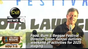Festival Food, Rhum & Reggae 2025 : Activités à découvrir