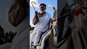 Festival équestre de Zliten : Célébration du patrimoine libyen