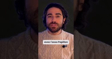 Foix lutte contre les chats errants pour préserver la biodiversité