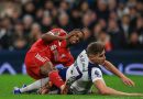 Football. Angleterre : gravement blessé au péroné, Isak devrait manquer au moins deux mois à Liverpool
