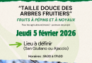 Formation sur la taille douce des arbres fruitiers par Inter Bio Corse