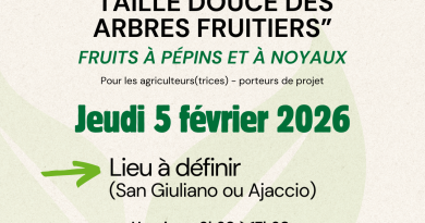 Formation sur la taille douce des arbres fruitiers par Inter Bio Corse
