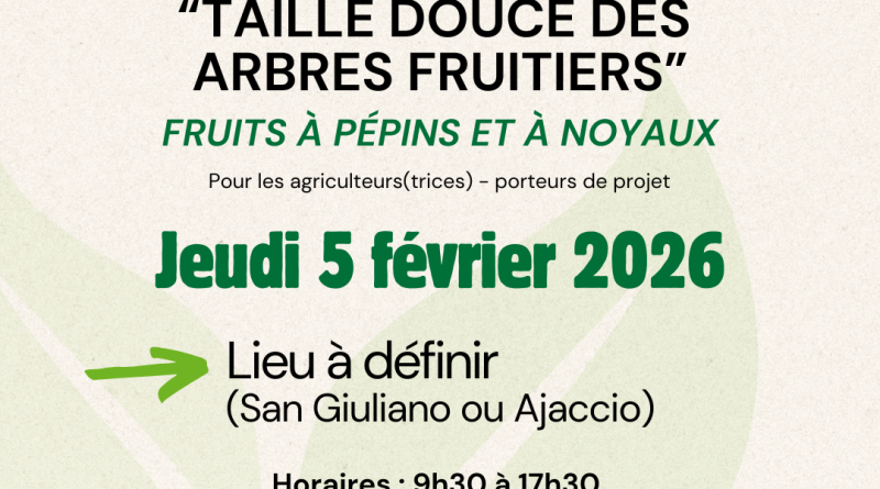 Formation sur la taille douce des arbres fruitiers par Inter Bio Corse