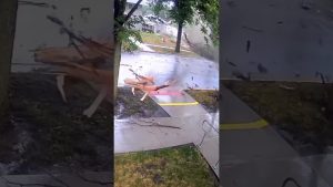 Foudre : Événements marquants à l'étranger