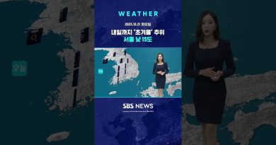 Froid d'automne : 15°C à Séoul jusqu'à demain