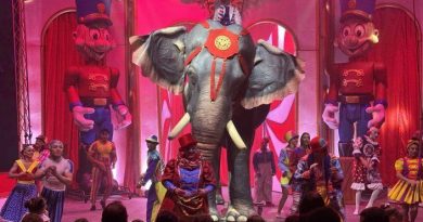 illustration agrandir l