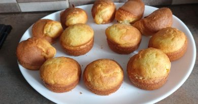 Gâteaux madeleines : comparatif entre la Combi Ninja et l'Air Fryer Ninja AF400