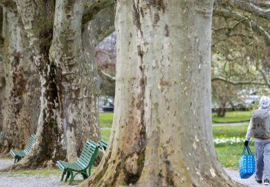 Dispositif d'urgence renforcé à Genève en prévision du froid qui arrive | RTS