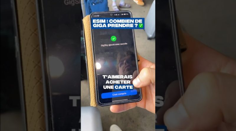 📊 Giga Internet : Guide rapide pour ton voyage