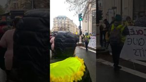 Gilets Jaunes : Manifestation à Paris le 15 novembre