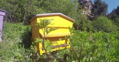 Glenn Viel : Étoile de Baumanière aux Baux de Provence