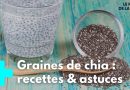 Graines de chia : bienfaits et secrets révélés