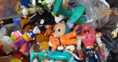 illustration agrandir l